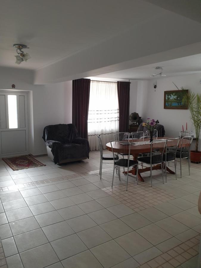 Apartament Casa Maia Cîrţişoara Zewnętrze zdjęcie