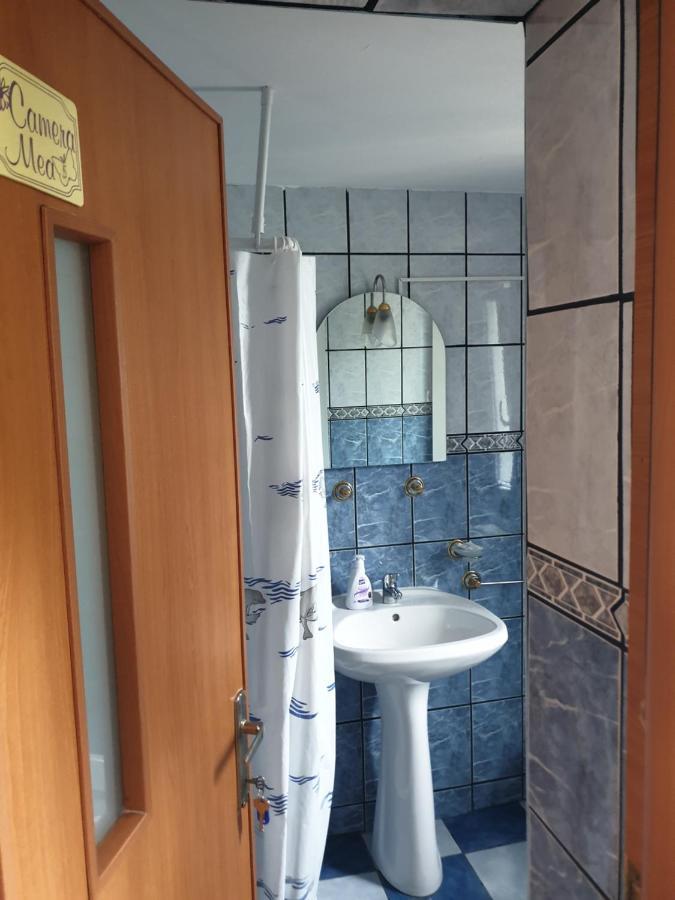 Apartament Casa Maia Cîrţişoara Zewnętrze zdjęcie