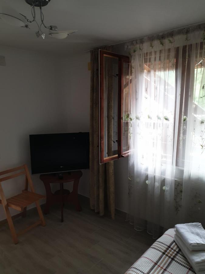 Apartament Casa Maia Cîrţişoara Zewnętrze zdjęcie