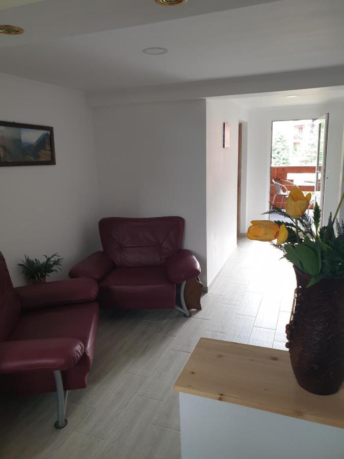 Apartament Casa Maia Cîrţişoara Zewnętrze zdjęcie