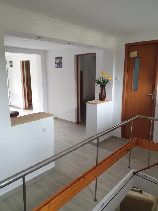 Apartament Casa Maia Cîrţişoara Zewnętrze zdjęcie